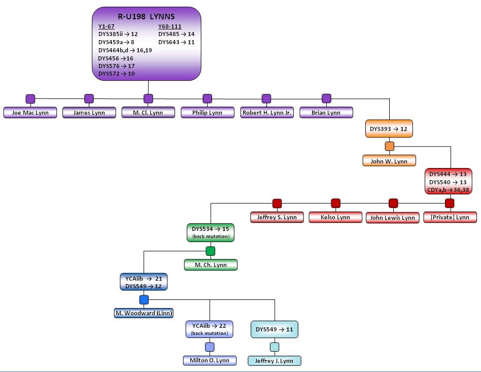 R-U198 Lynn Phylogeny