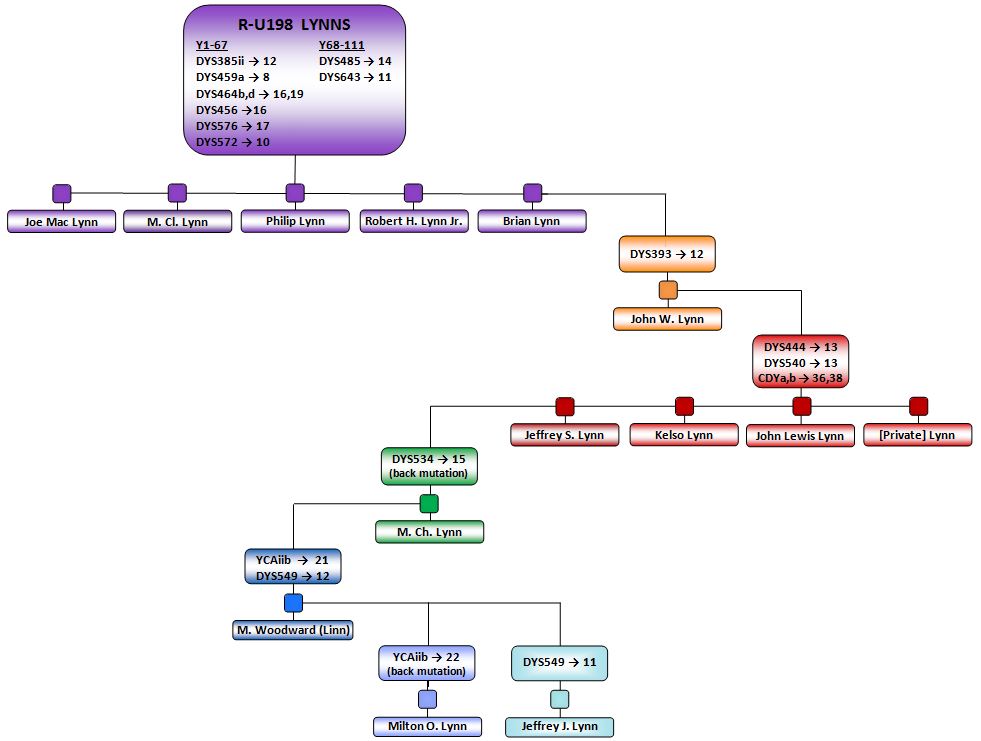 R-U198 Lynn Phylogeny